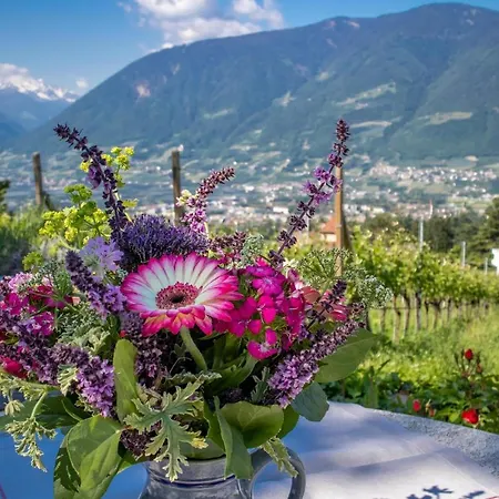 Barrique Apartment Merano